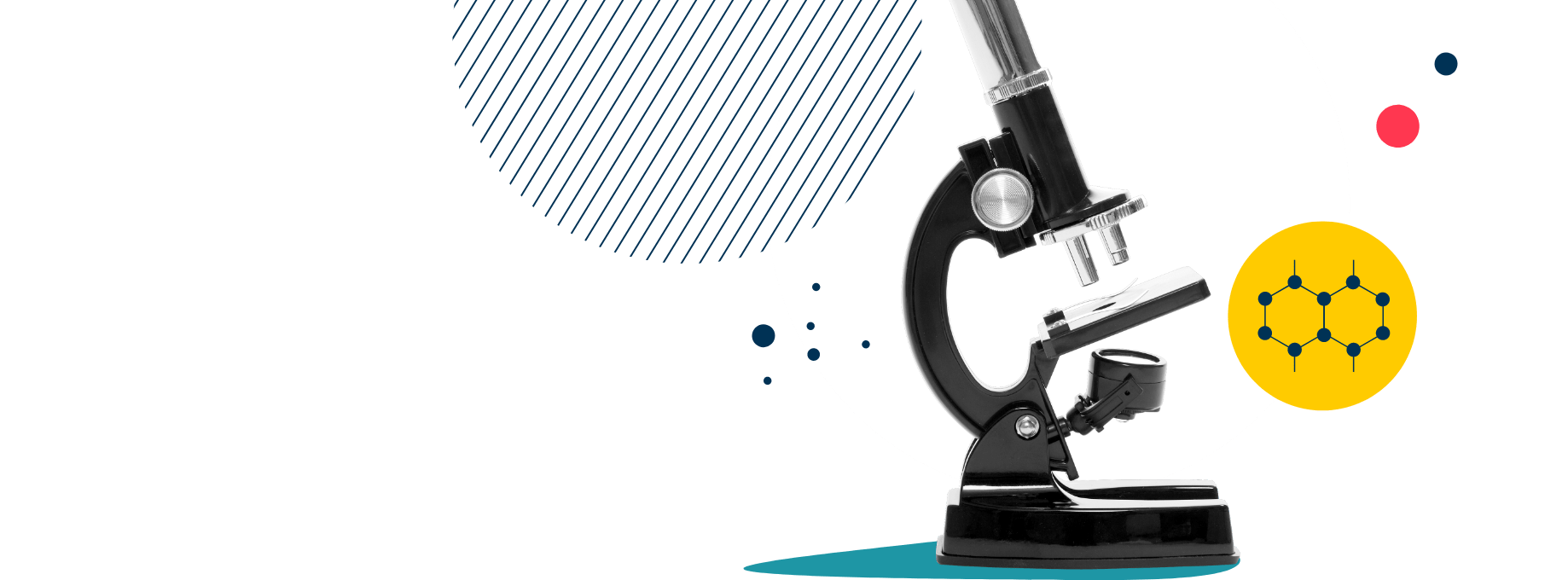 诺德安达双语学校 - 培养未来世界领导者 - 051 - Feature Cards Pattern